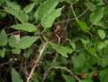 dsc06853.jpg