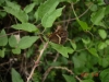 dsc06853.jpg
