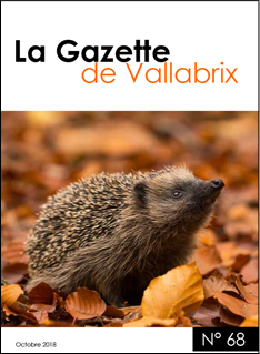 La gazette de vallabrix Numéro 68